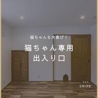 画像1025