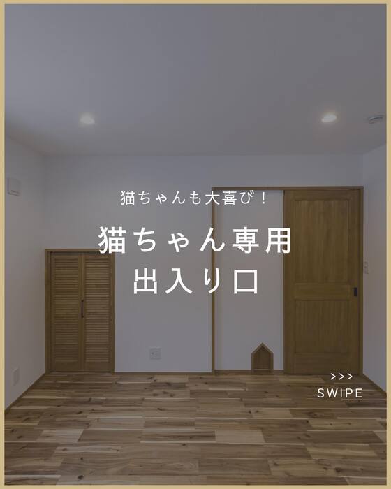 画像1025