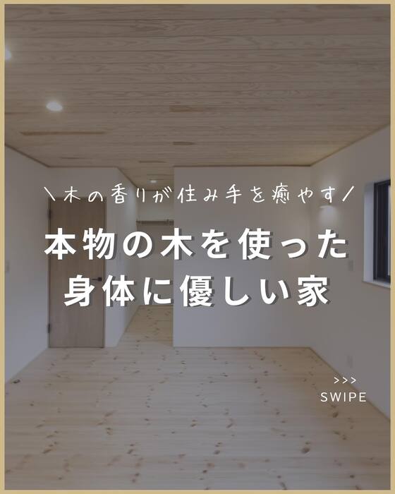画像1186