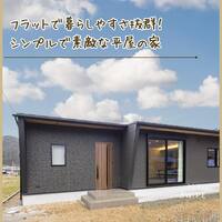 画像1234
