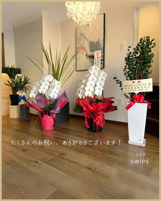 画像1651