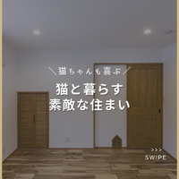 画像2285