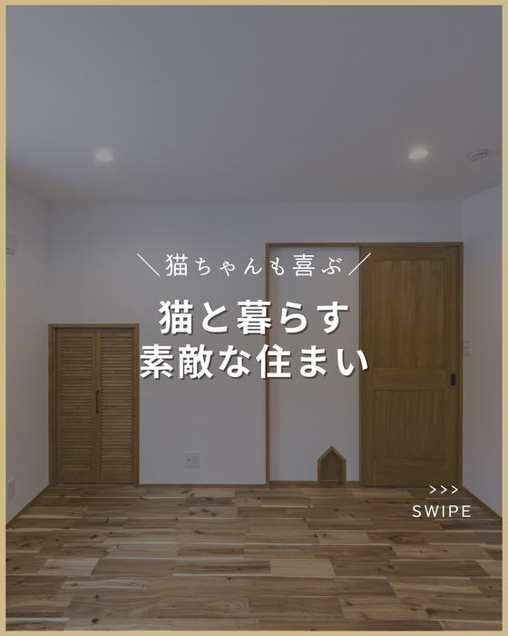 画像2285