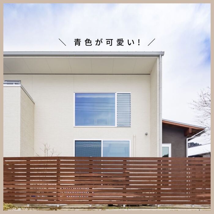 画像333