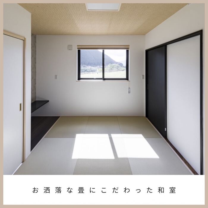 画像388