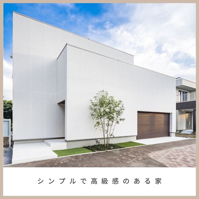 画像541