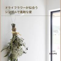 画像929